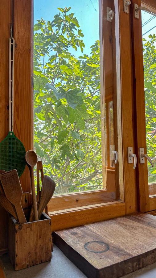 Camping Kromidovo Ngoại thất bức ảnh
